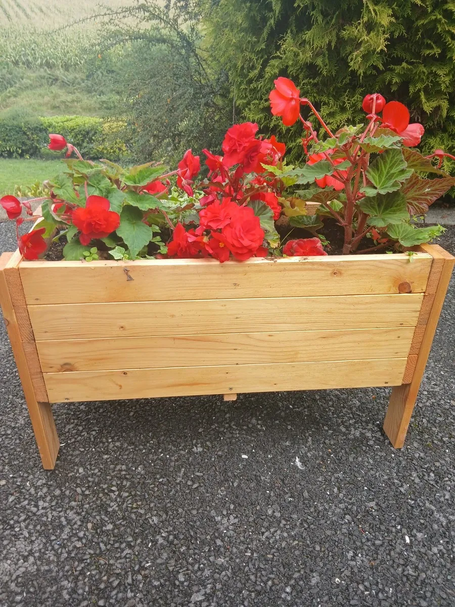 Flower boxes - Image 1