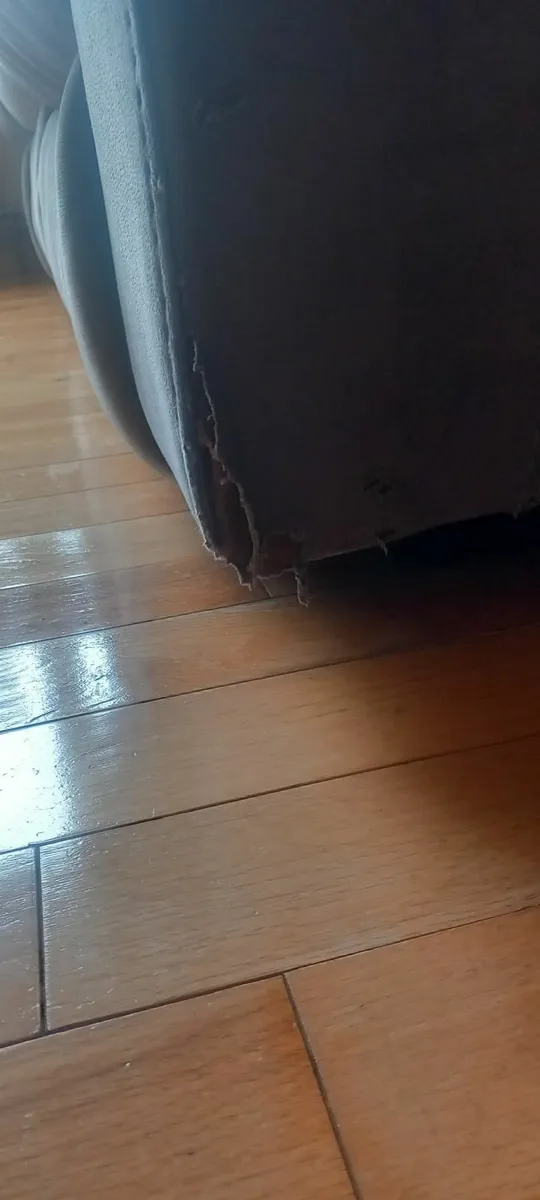 Recliner sofa - Image 2