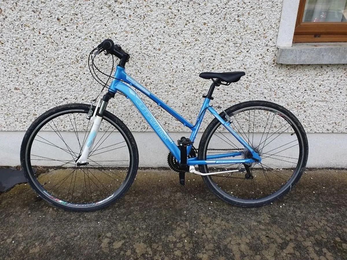 Ladies/ Teenage Girls Bike - Image 1