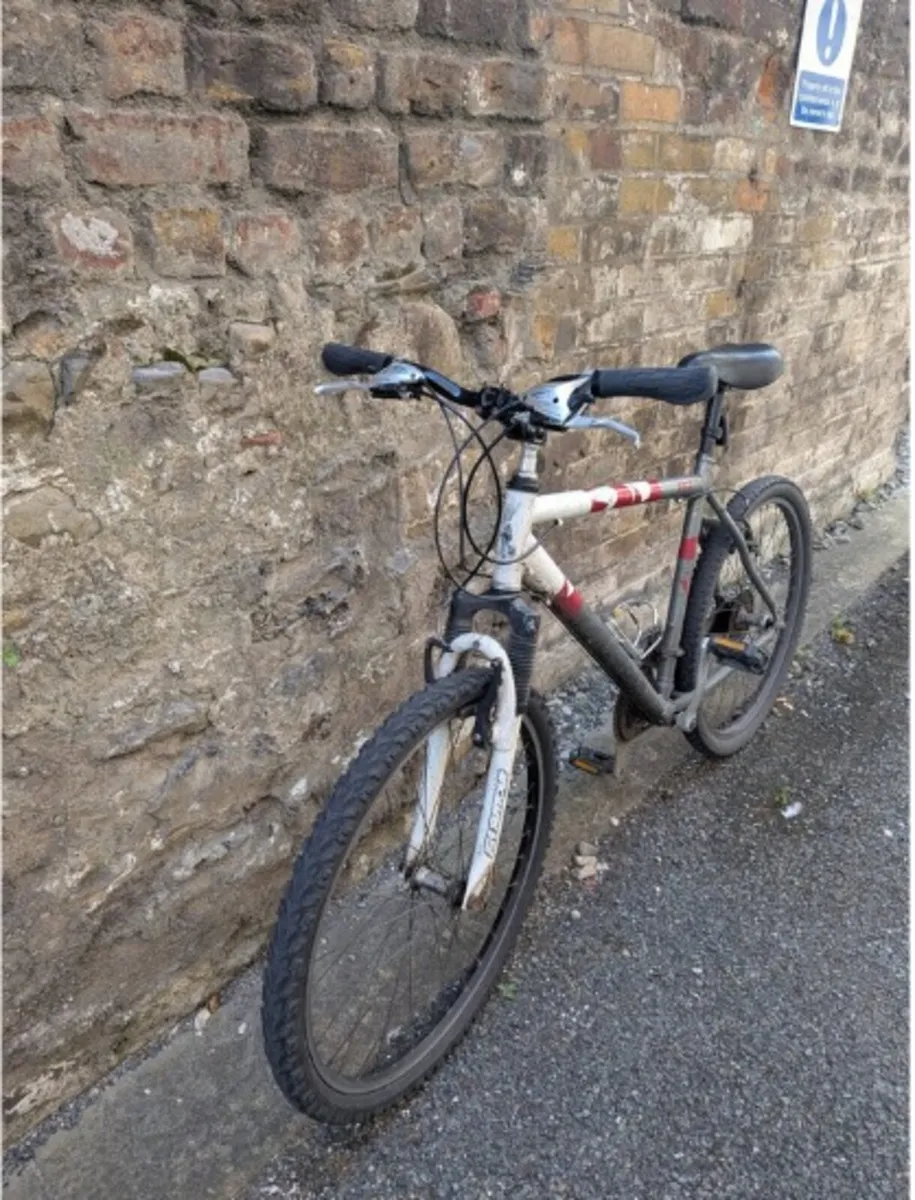 Bike - Image 2