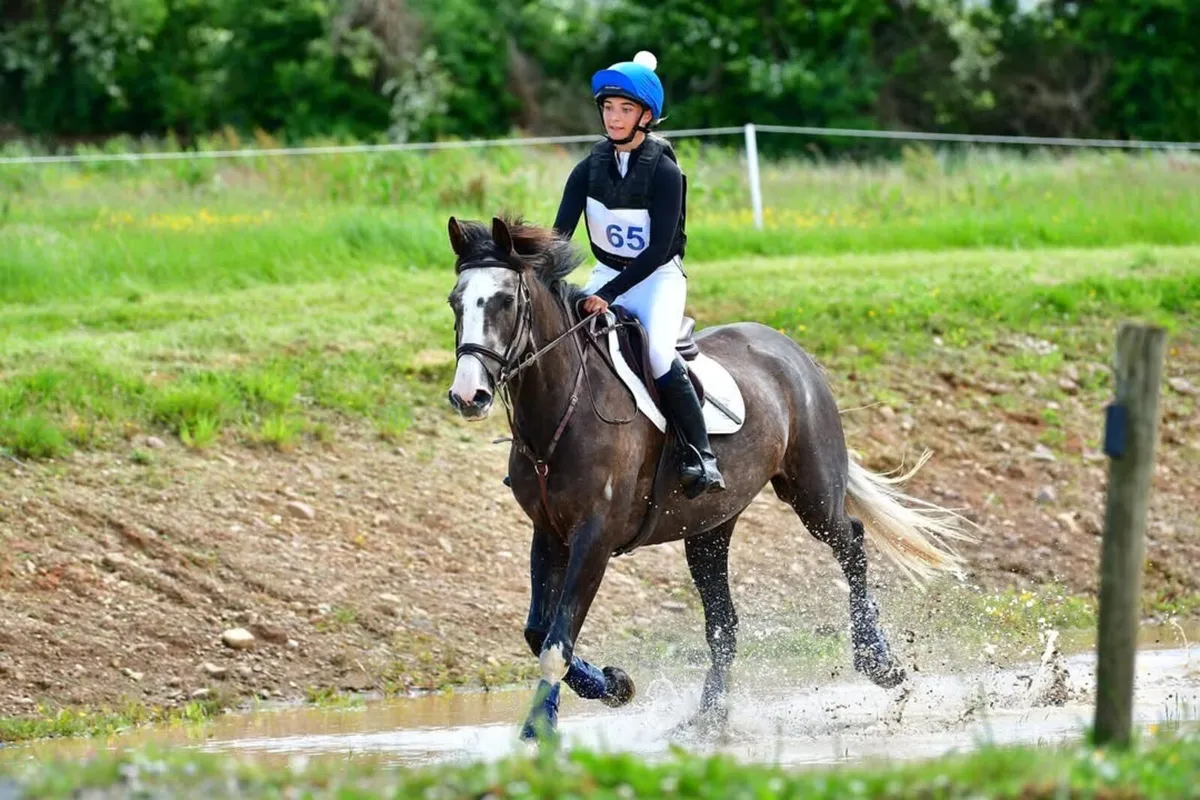 Stunning Future Top Eventer/Showjumper - Image 1