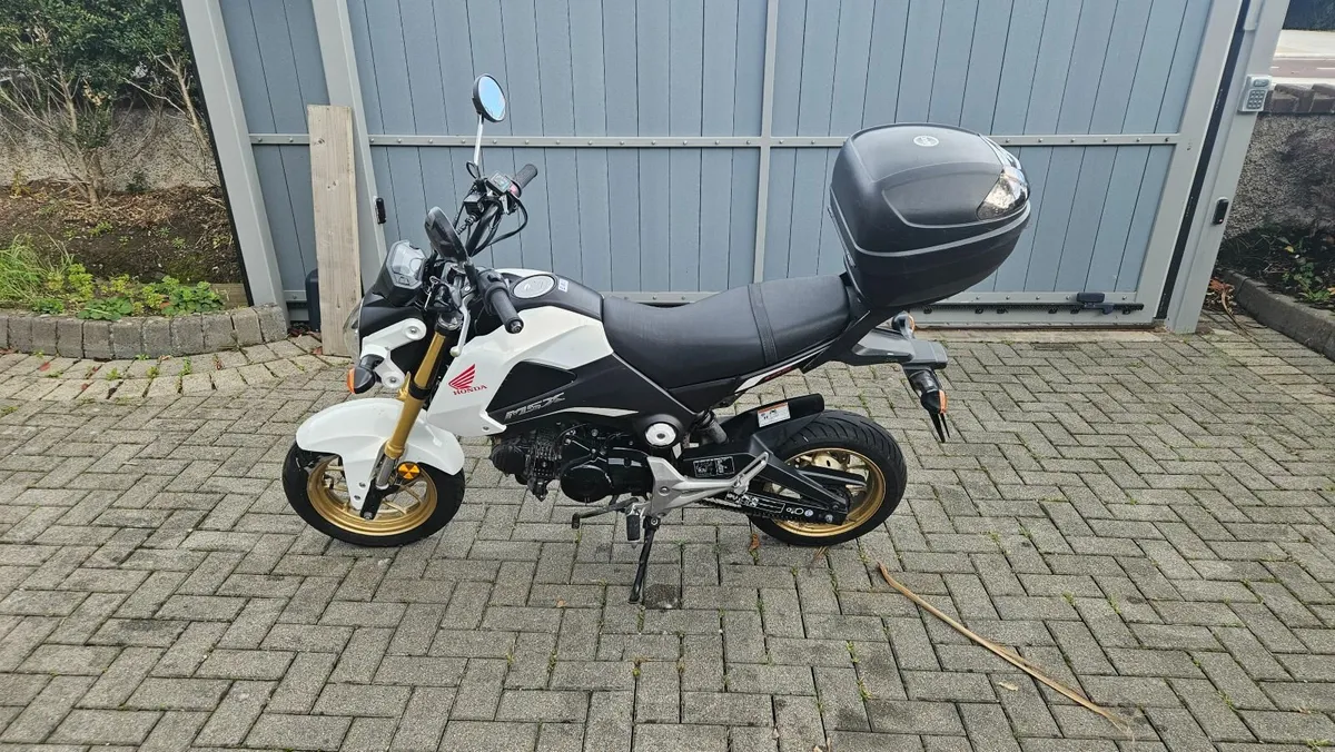 Honda MSX 125 2015 - Image 2