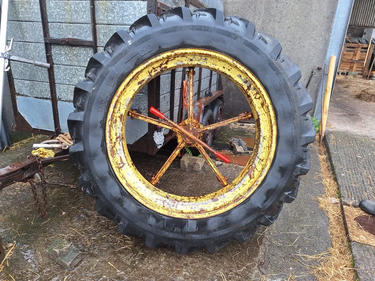 Cage twin wheeled - Image 2