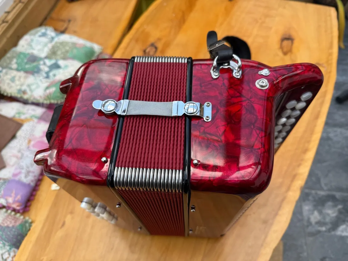 Button accordion - Image 4