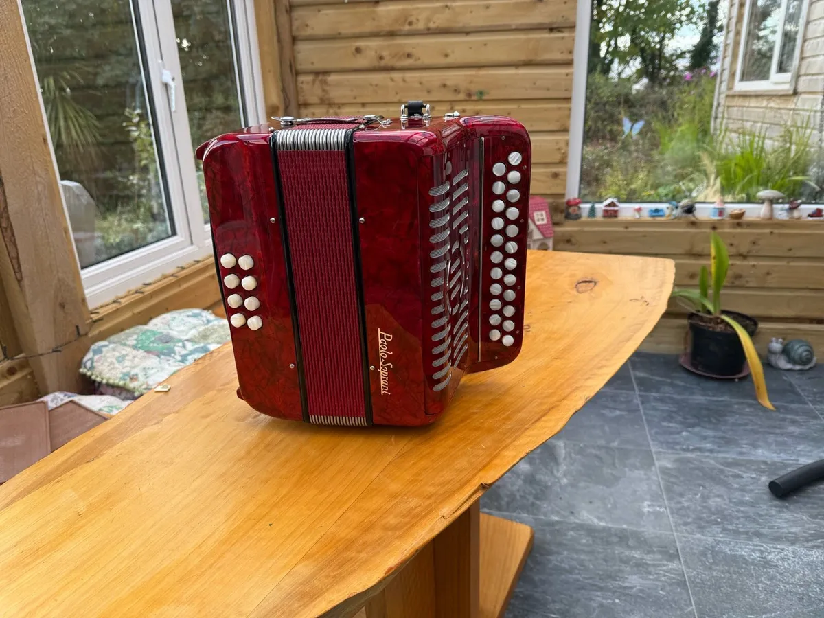 Button accordion - Image 1