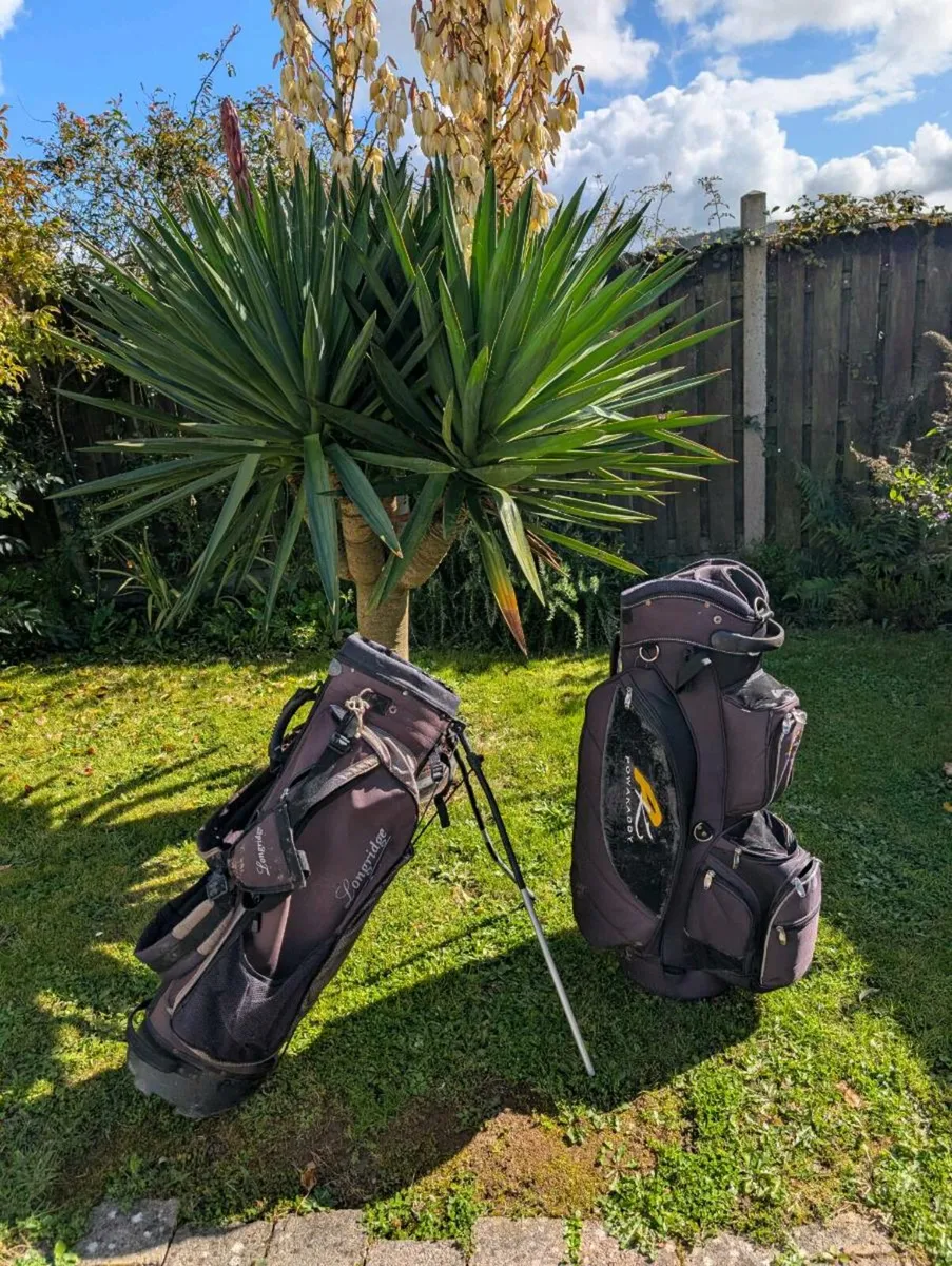 Two golf bags 30 for the pair first come - Image 1