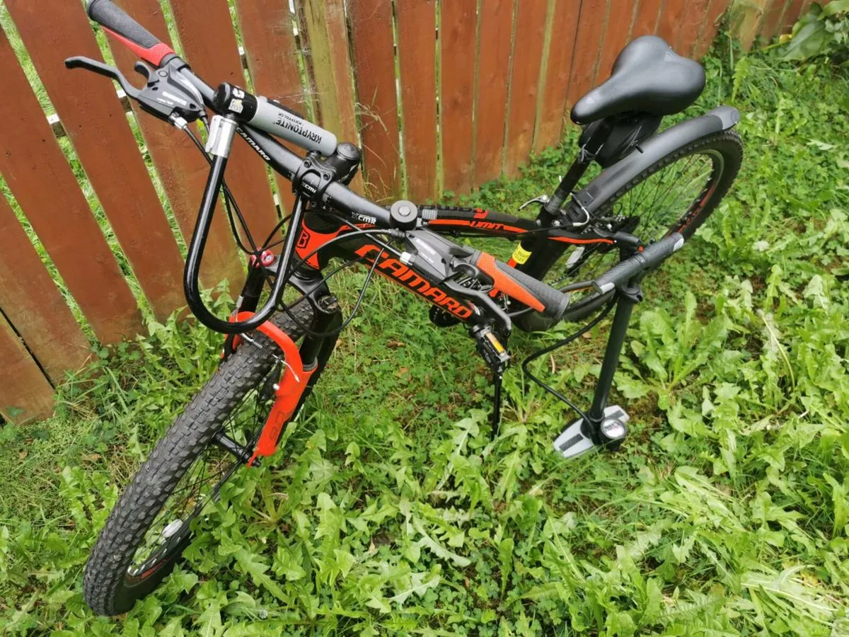 Bicycle - Image 4