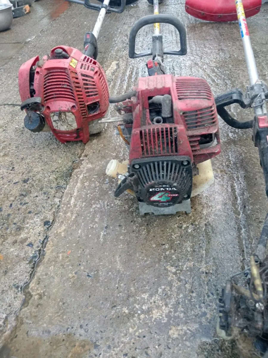 Strimmer - Image 1