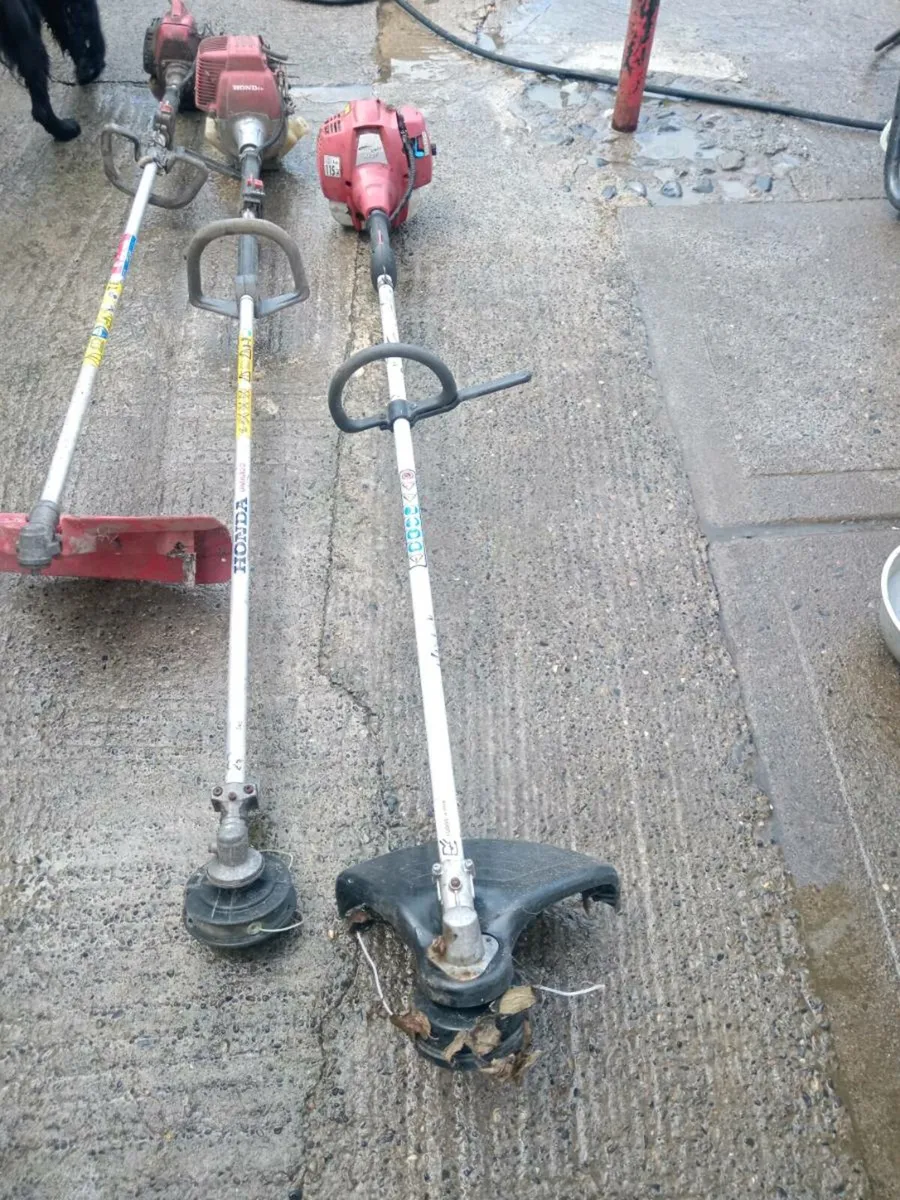 Strimmer - Image 2