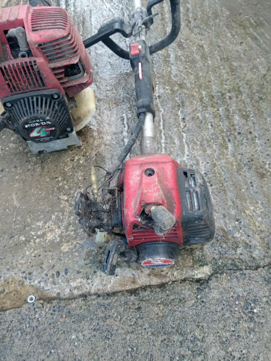 Strimmer - Image 3