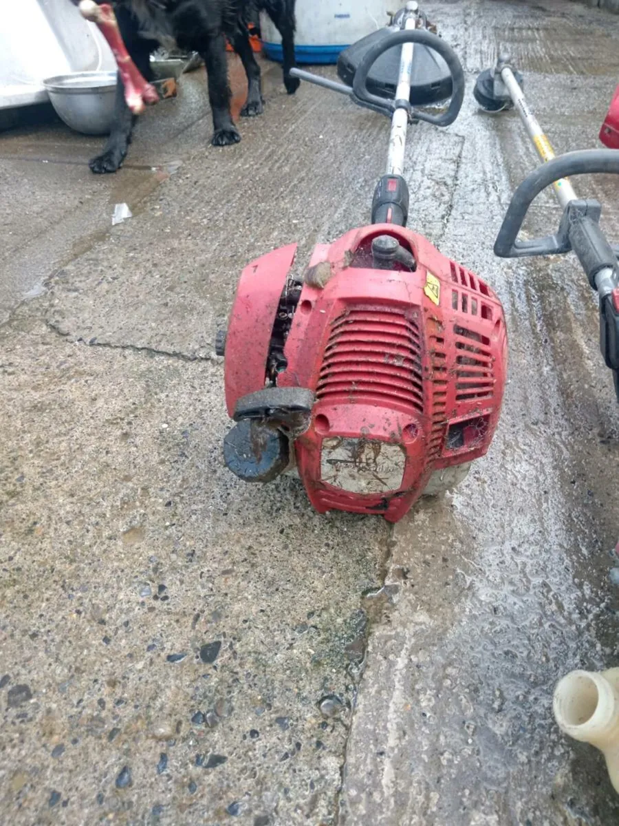 Strimmer - Image 4