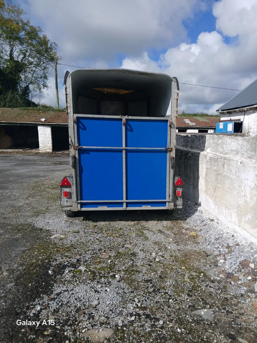 Ifor Williams Horse Box - Image 4