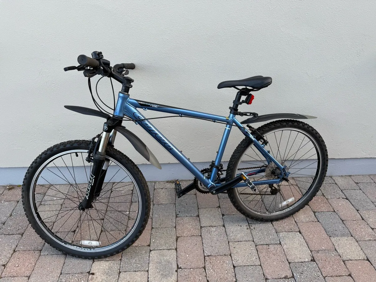 Bicycles - Image 1