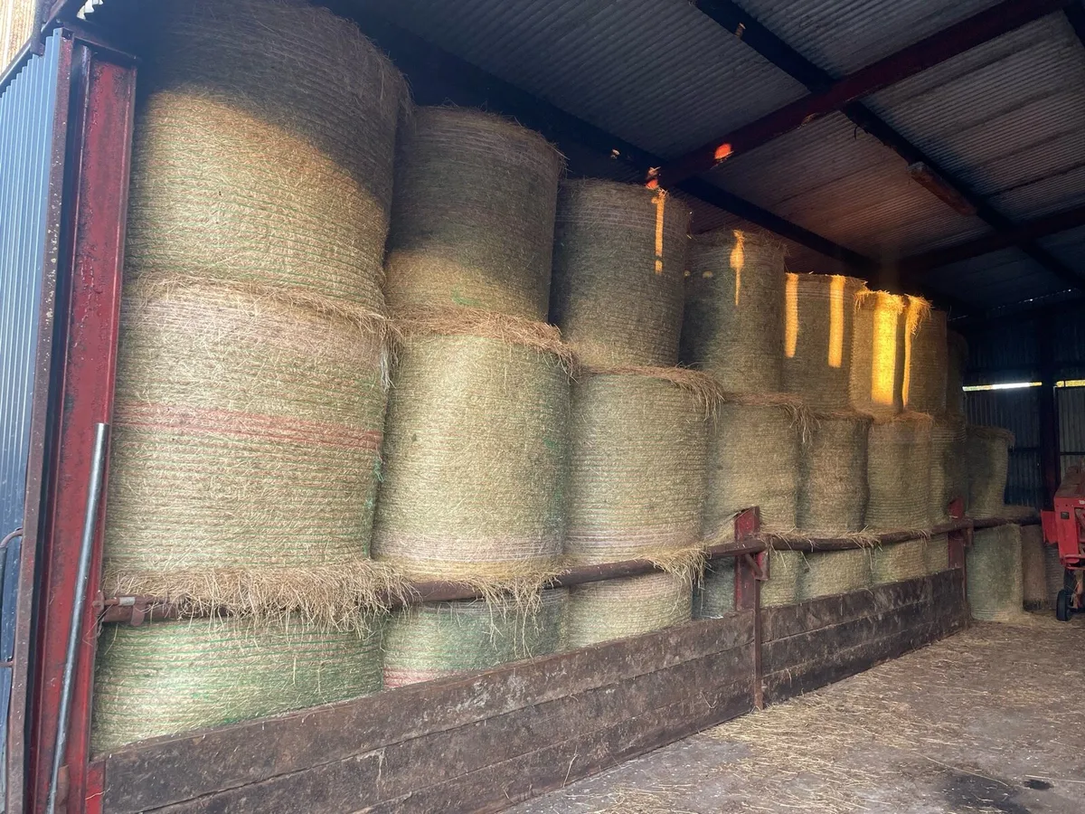 hay - Image 1