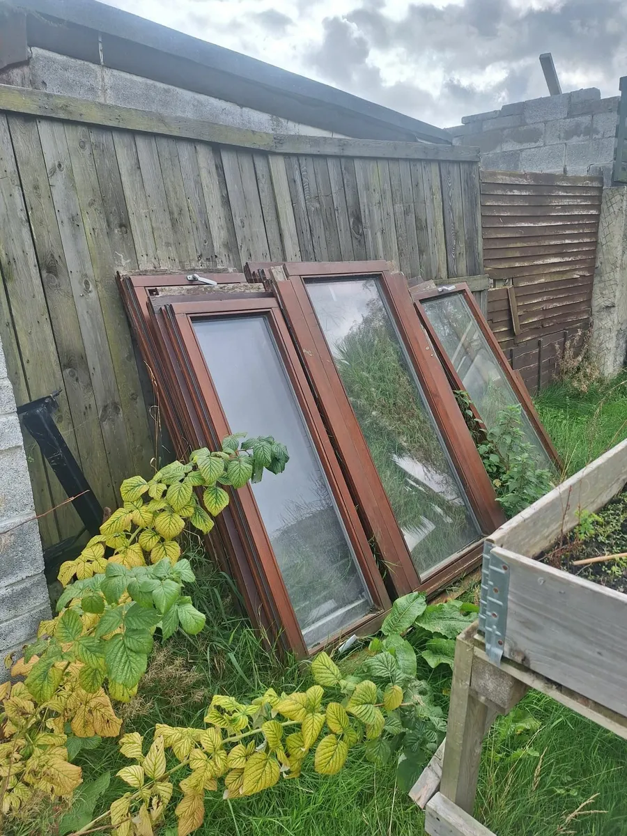 FREE WINDOWS