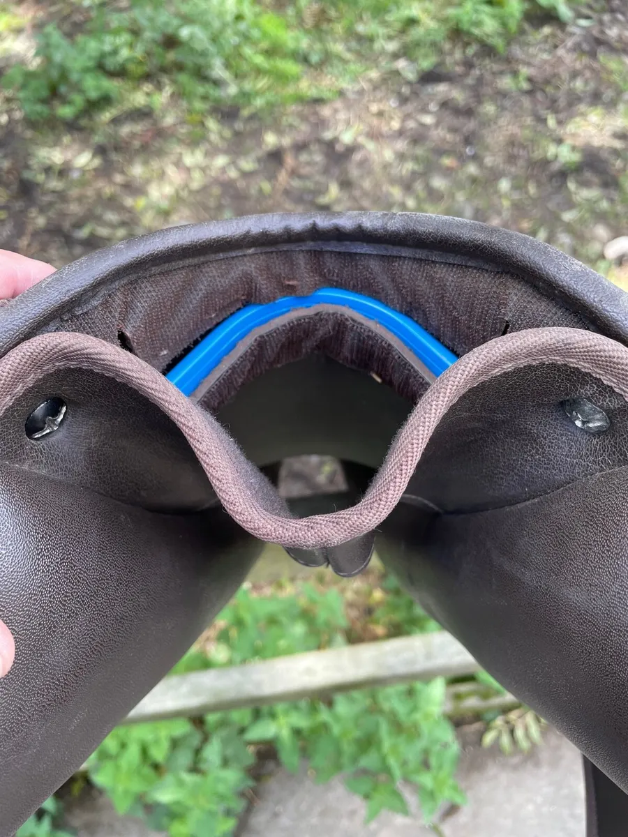 Wintec Saddle - Image 3