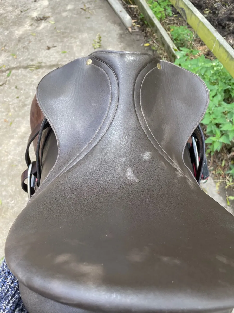 Wintec Saddle - Image 4