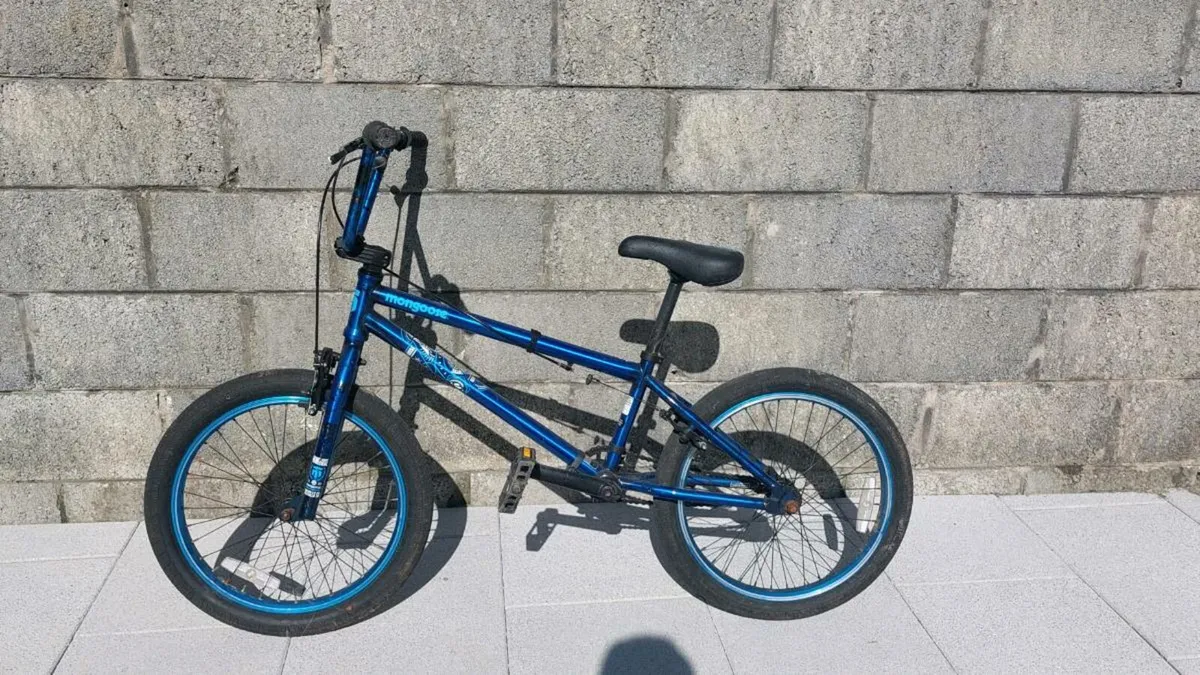Mongoose kids bike