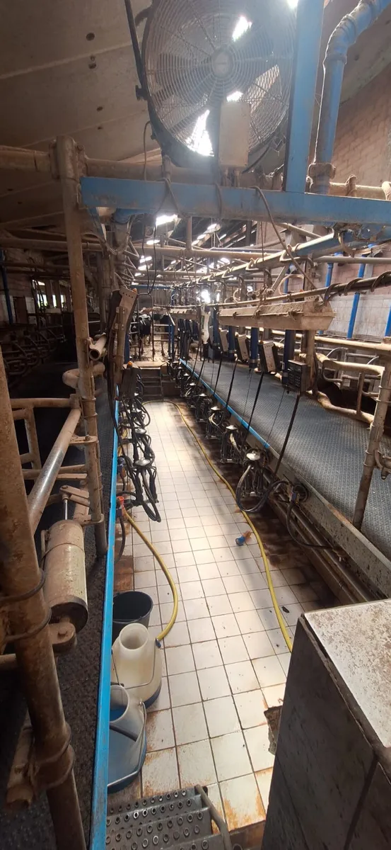 milking parlour2x9 Delaval cow ID - Image 1
