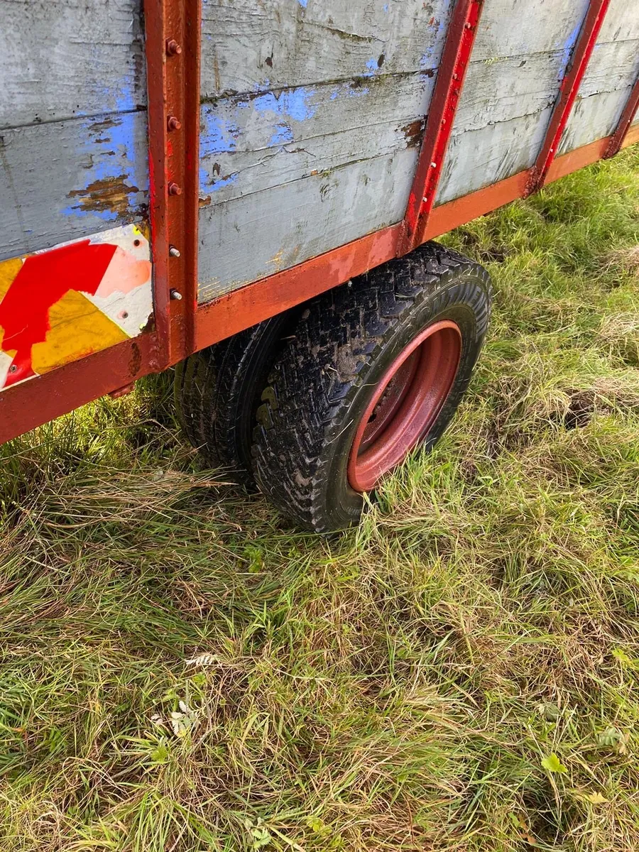 14ft x 6ft cattle/sheep trailer - Image 4