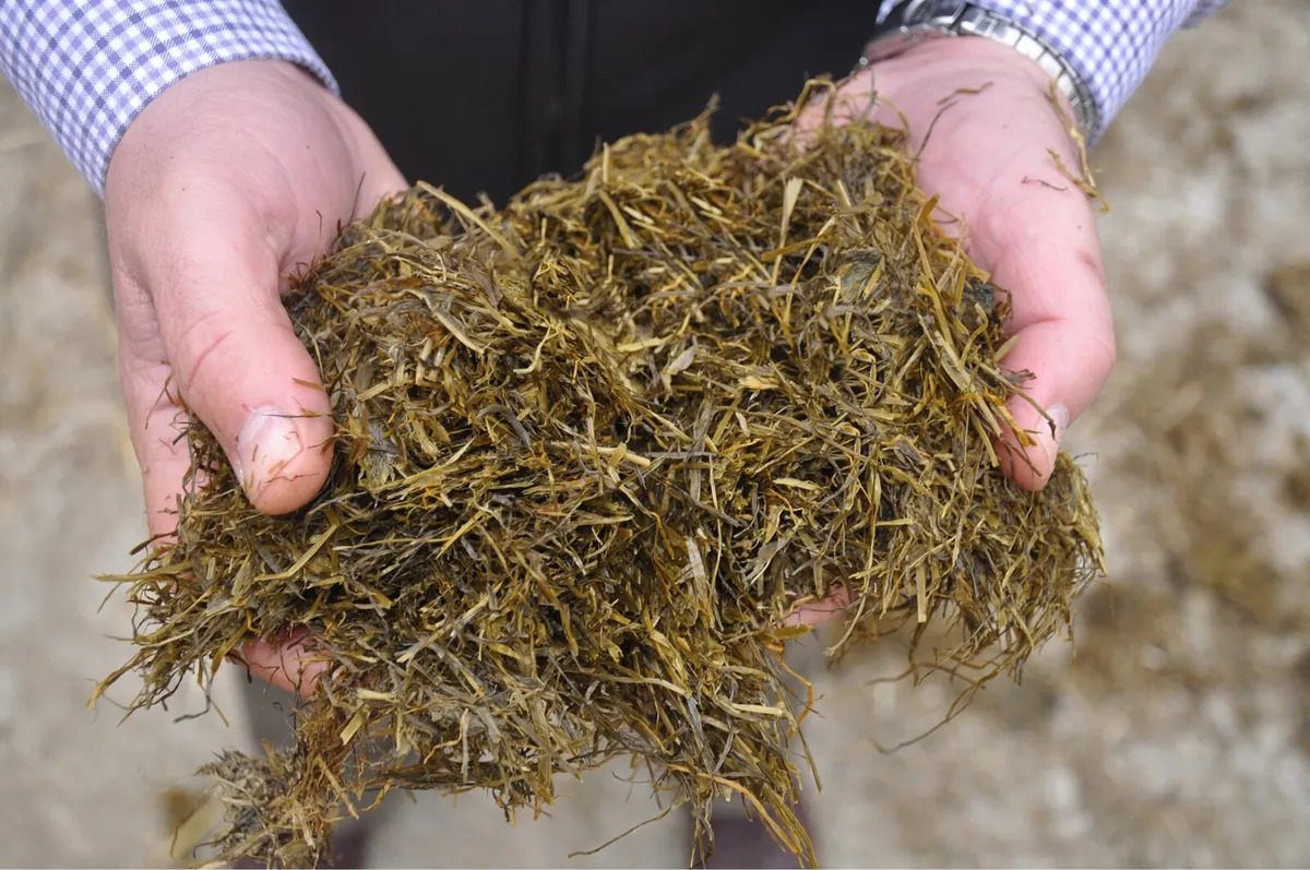 Silage/ Maize/ potatoes wanted
