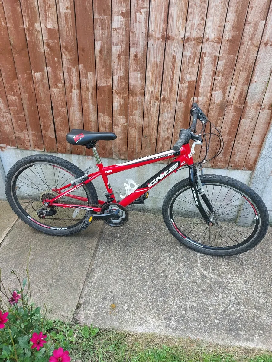 Ignite 24 Inch Bike. - Image 2