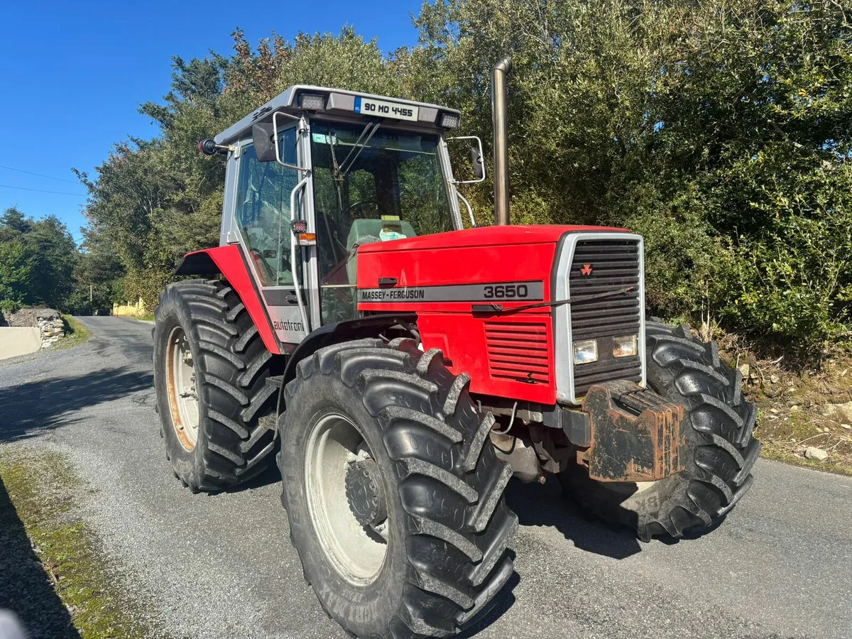 Massey Ferguson 3650 - Image 1