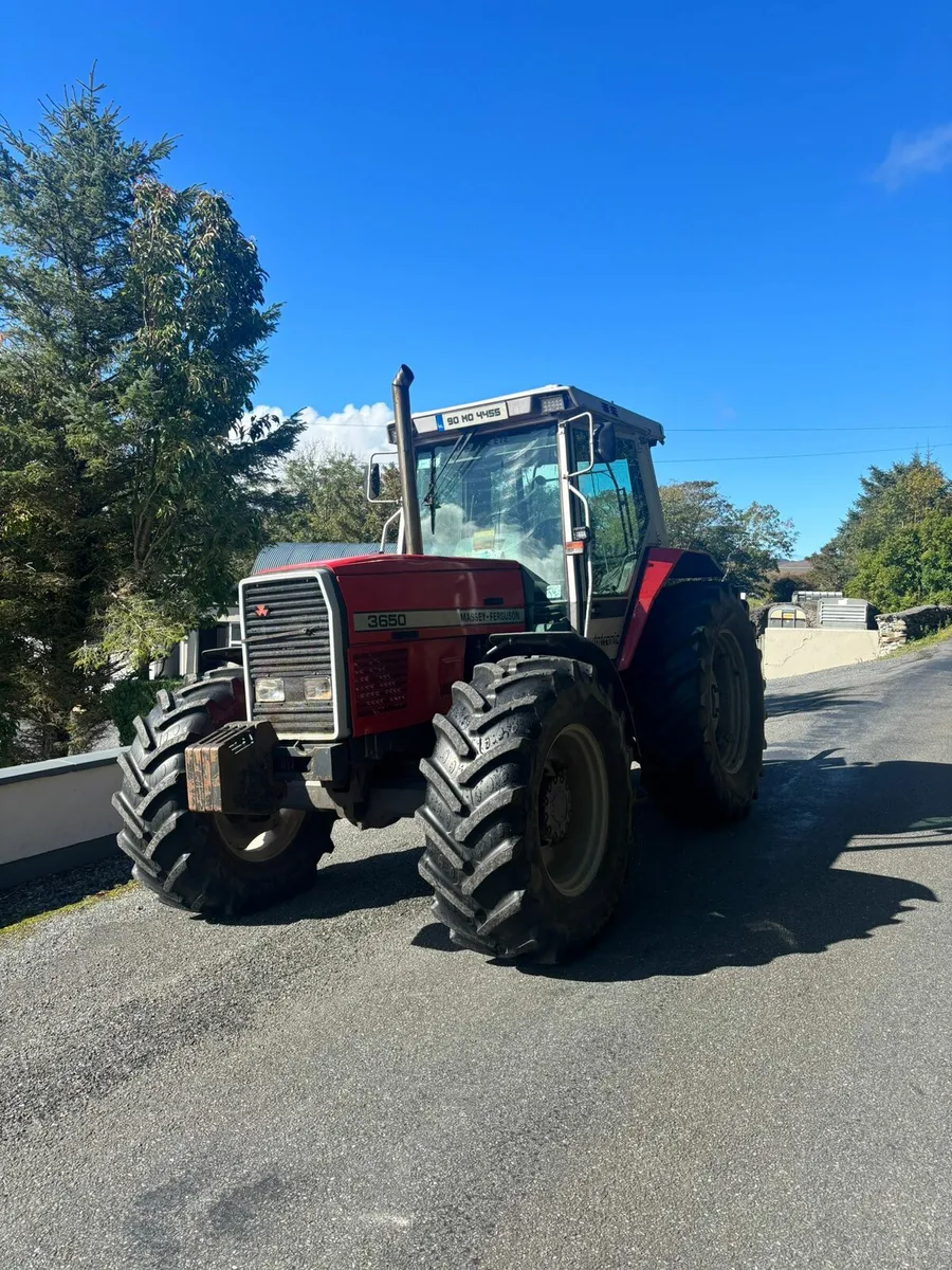 Massey Ferguson 3650 - Image 2