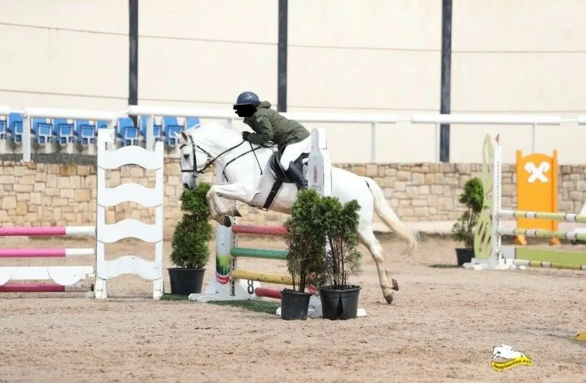 🌟 14.2h All-rounder type 🌟 - Image 4