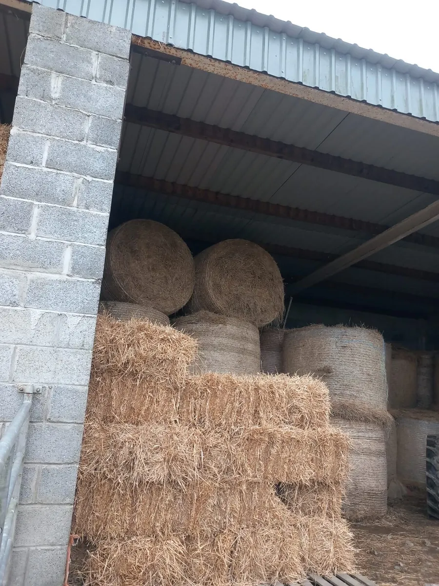 Hay and straw