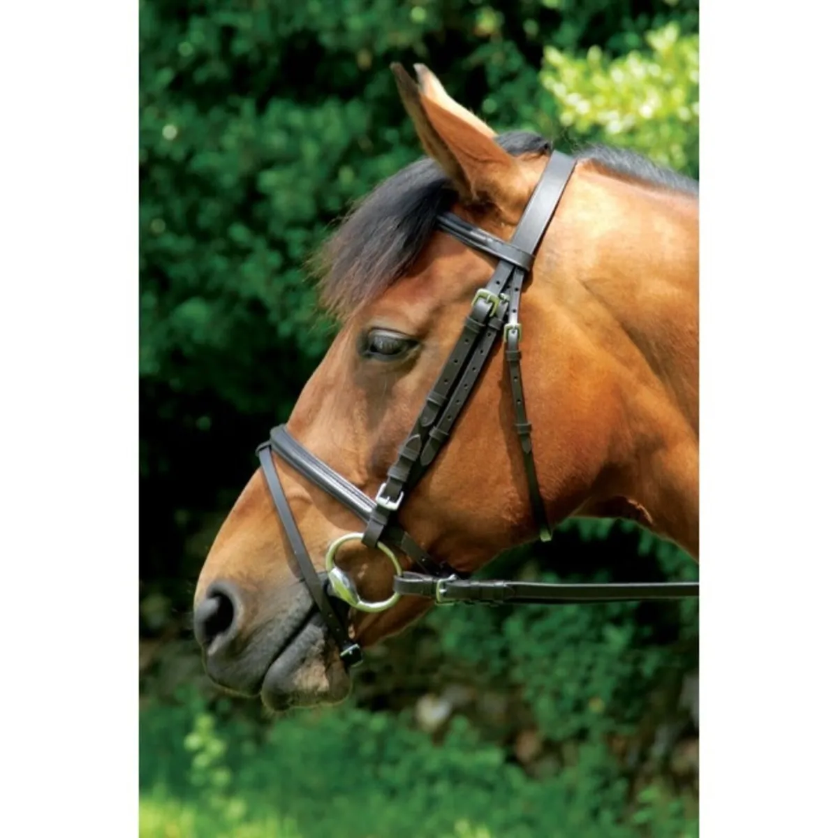 Celtic Equine Classic Bridle - Brown