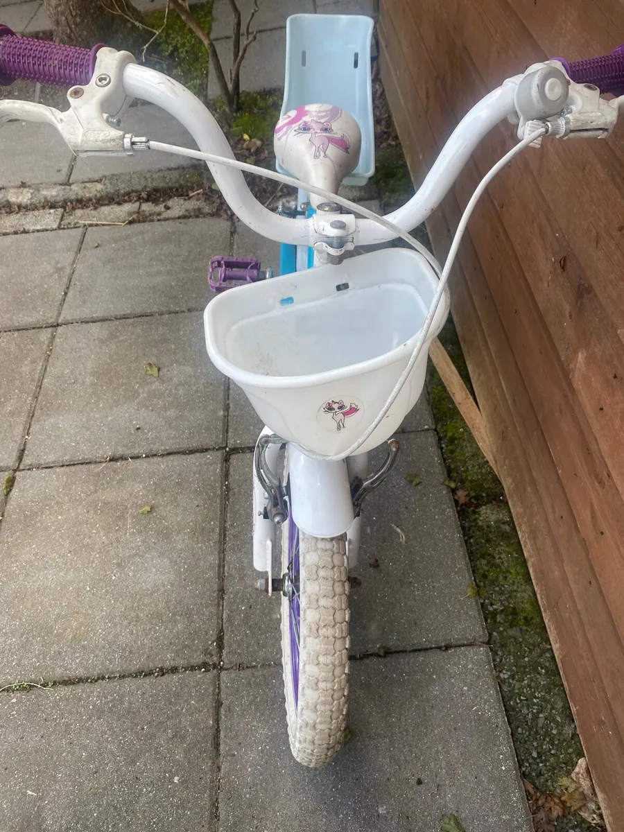Princess Bike GMT - Image 2
