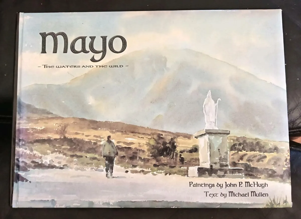 Mayo The Waters and the Wild Book - Image 1