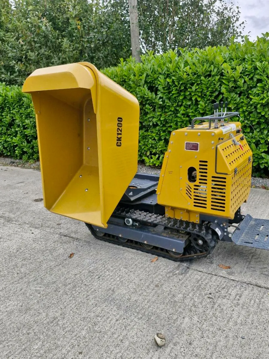 Track dumper - Image 1