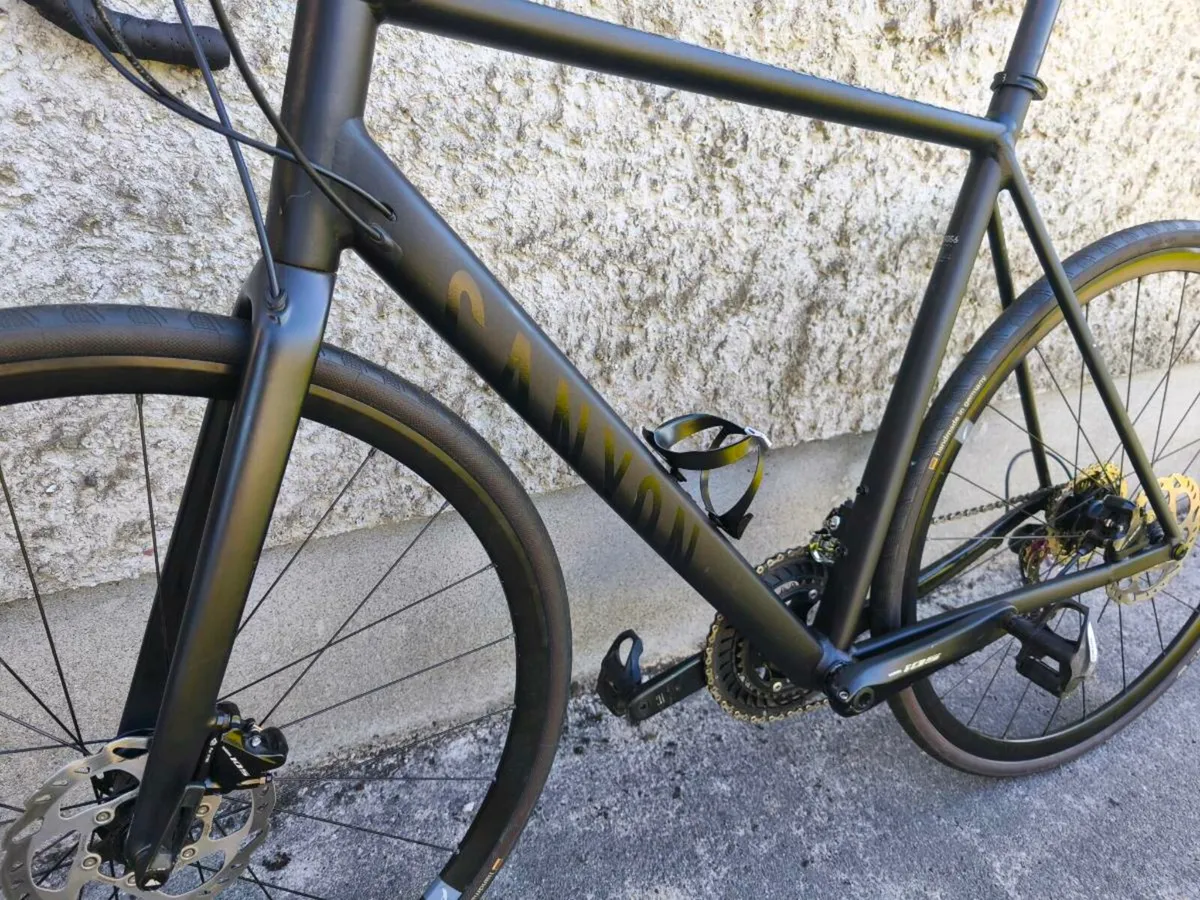 Canyon Endurance - Image 4
