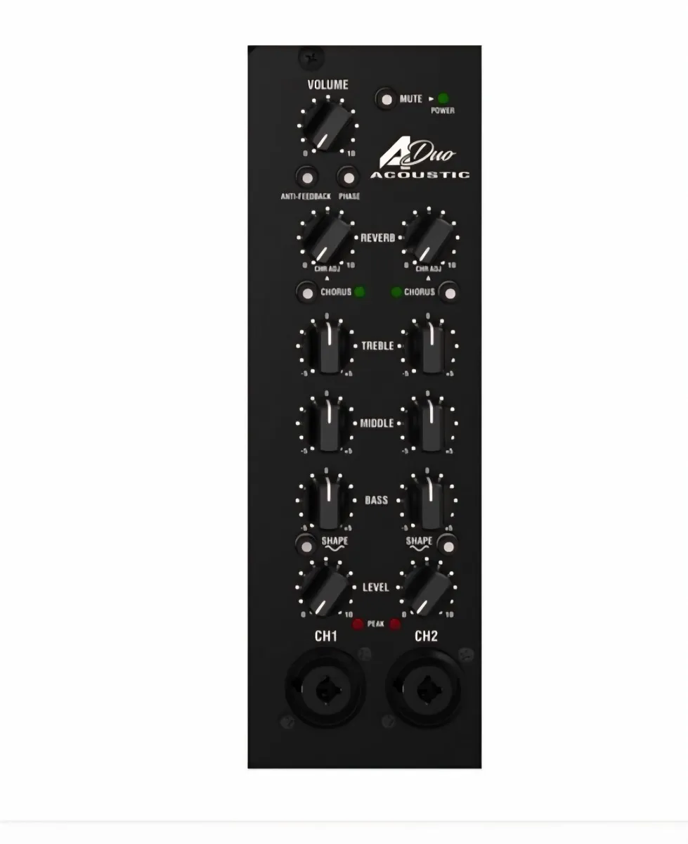Laney A-Duo Acoustic Amp - Image 2