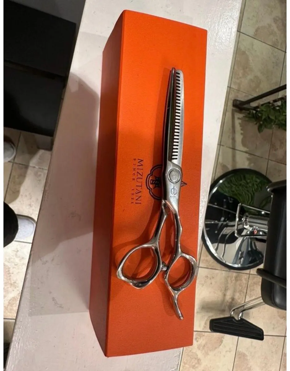Professional Scissors Mizutani - Image 1
