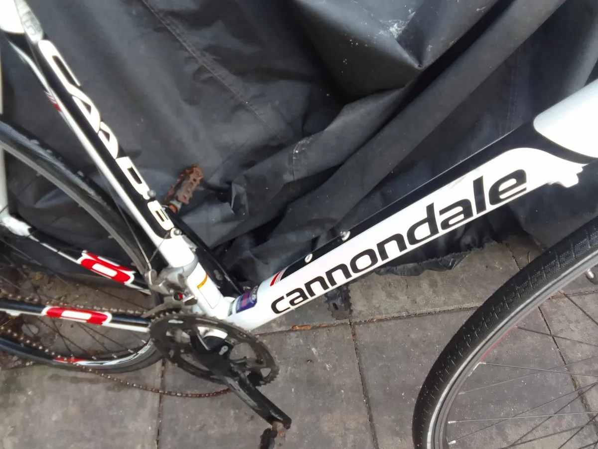 cannondale caad 8 for restoring - Image 2