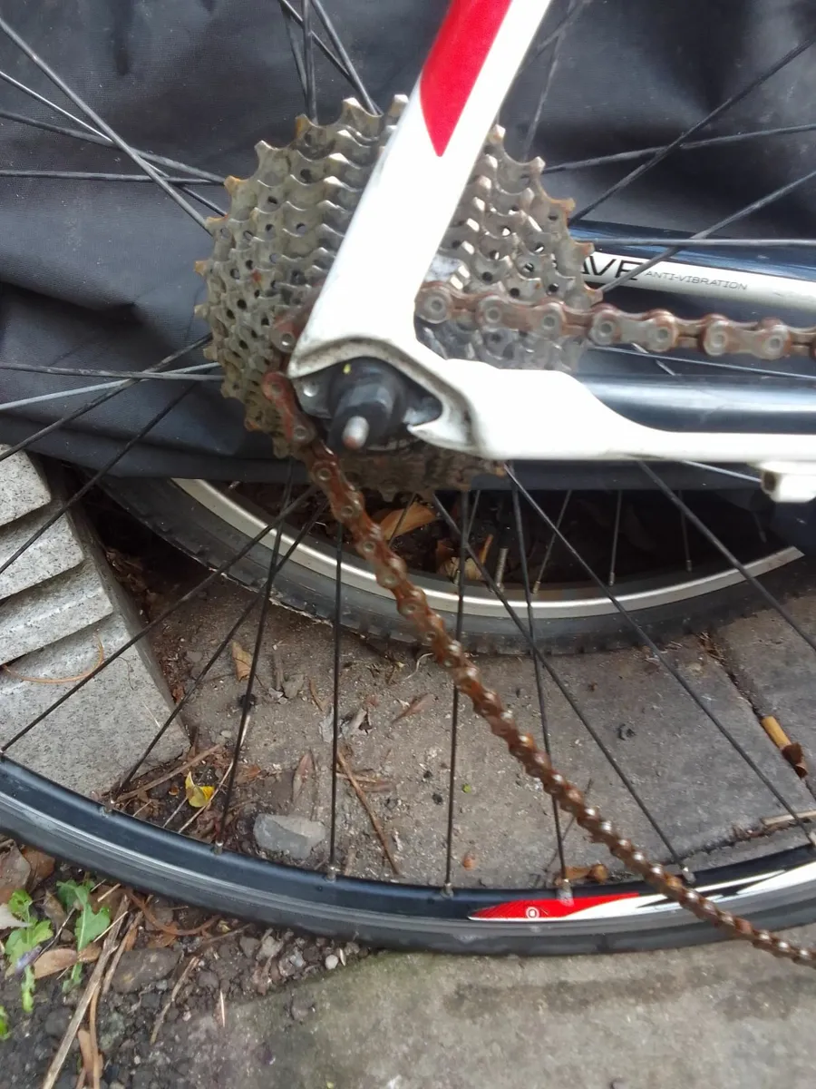 cannondale caad 8 for restoring - Image 3