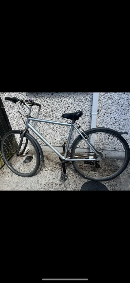 Bike - Image 1