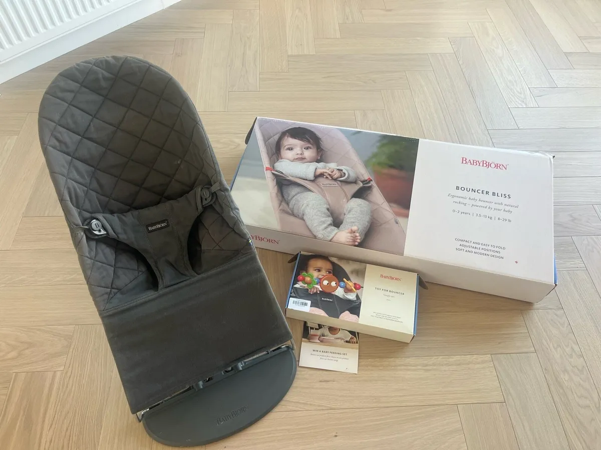 Baby Bjorn Bouncer + wooden toy bar - Image 1