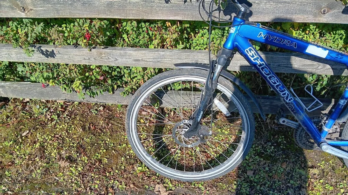Mens bike - Image 1