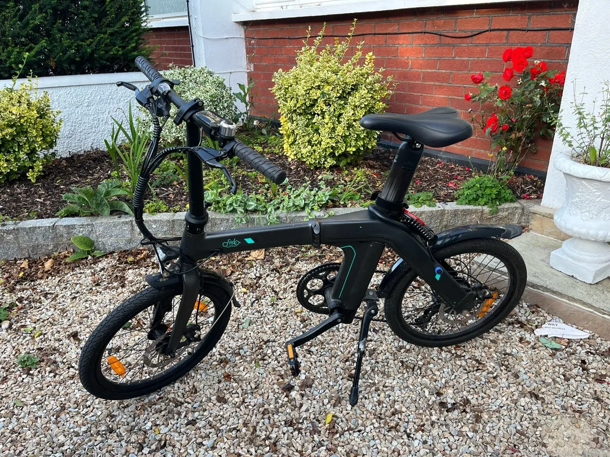 Fiido D21 Bike - Image 1