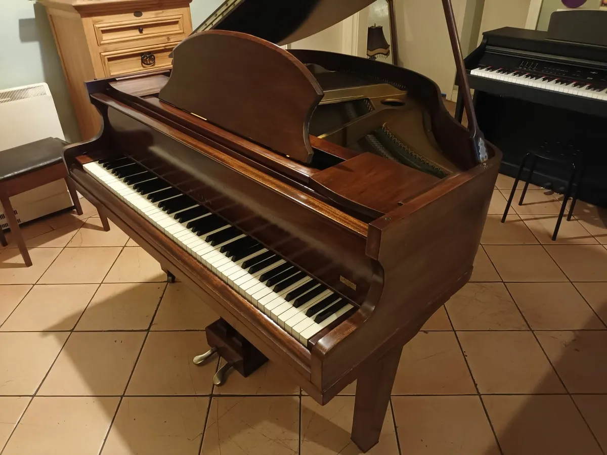 Very Small 1908 Antique Baby Grand Piano - Image 2