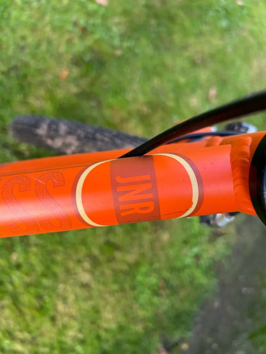 Carrera Bike ❎Unwanted Gift❎ - Image 3