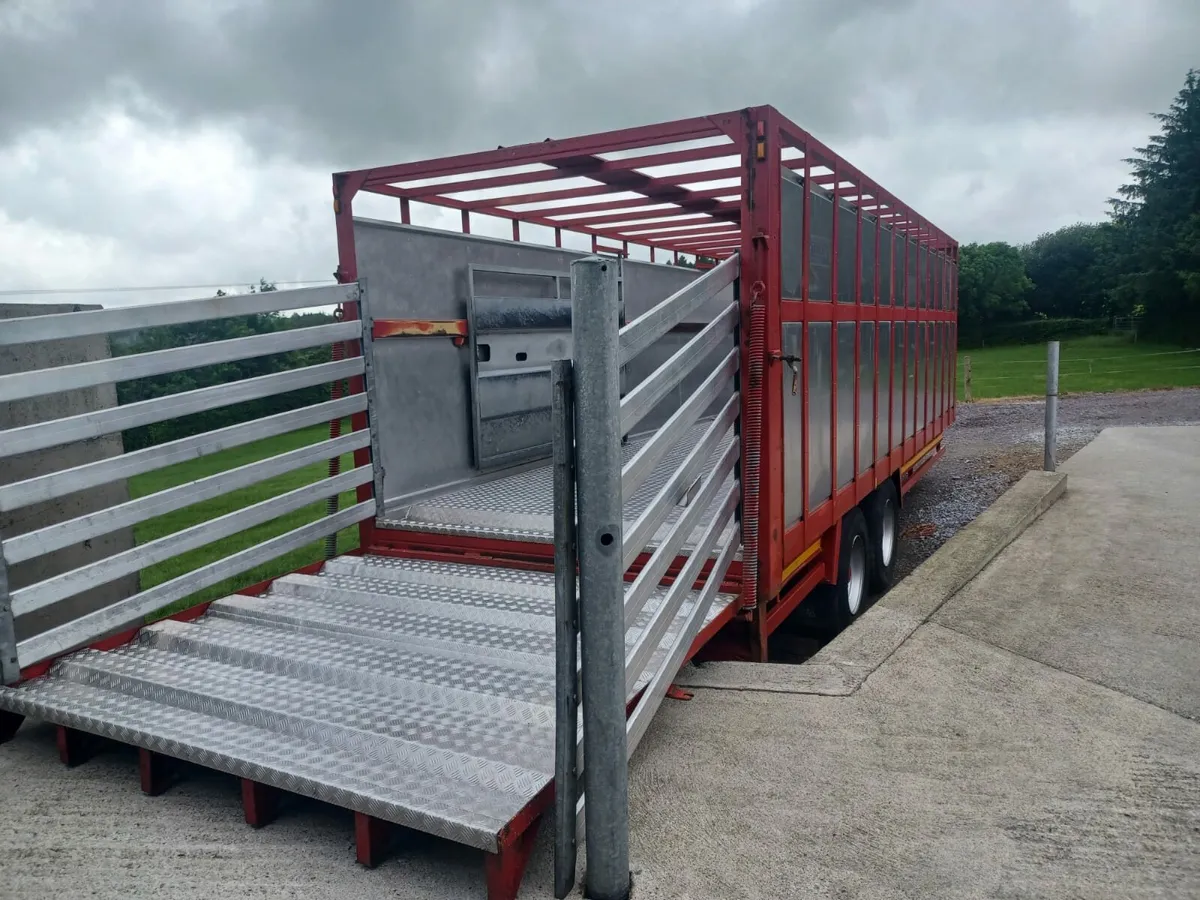 24ft lynch cattle trailer - Image 2