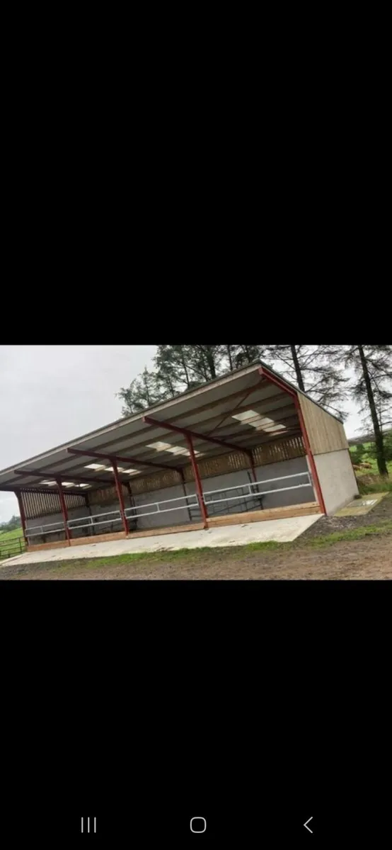 Housing for cattle wanted