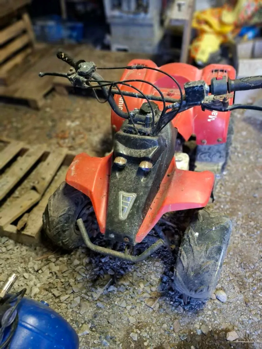 50 cc Quad - Image 2