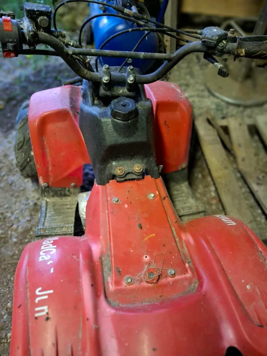 50 cc Quad - Image 3