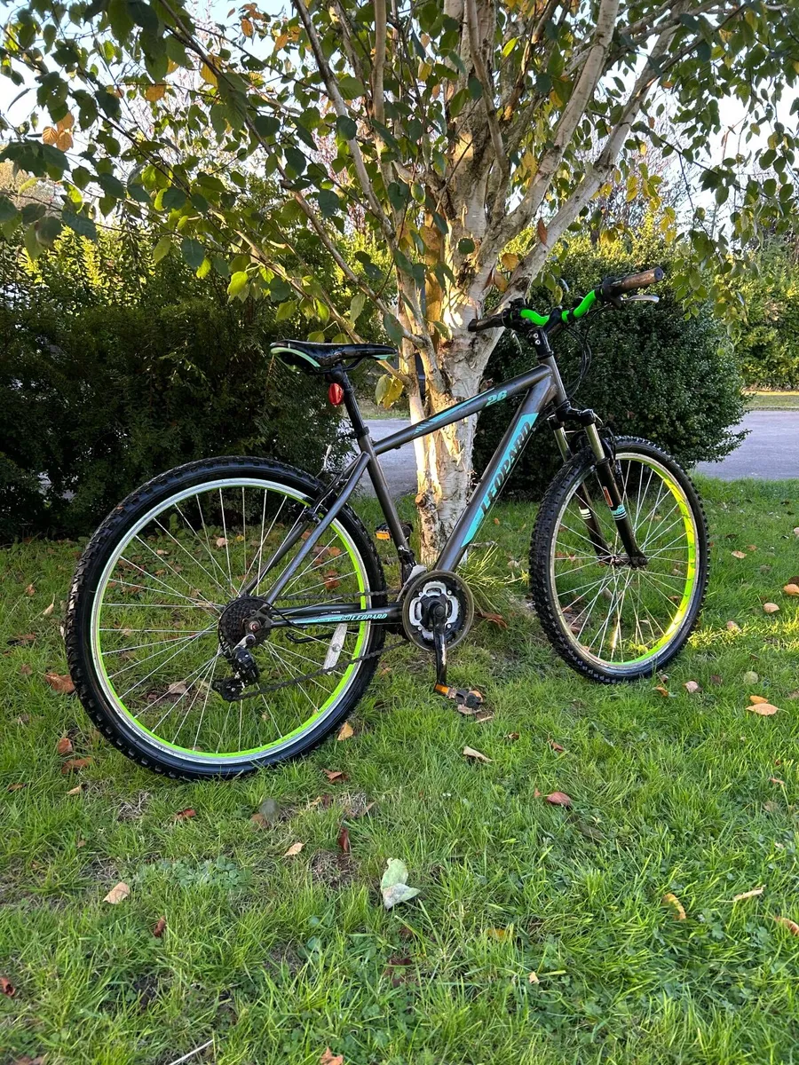 Bike - Image 2